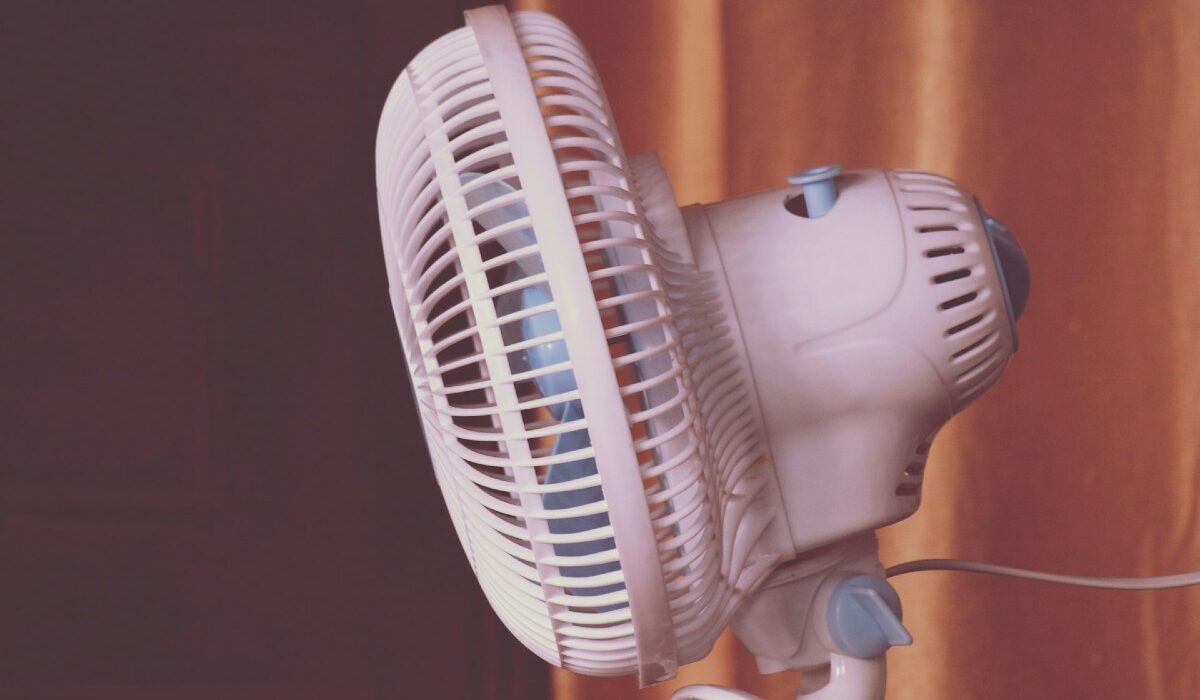 canicule