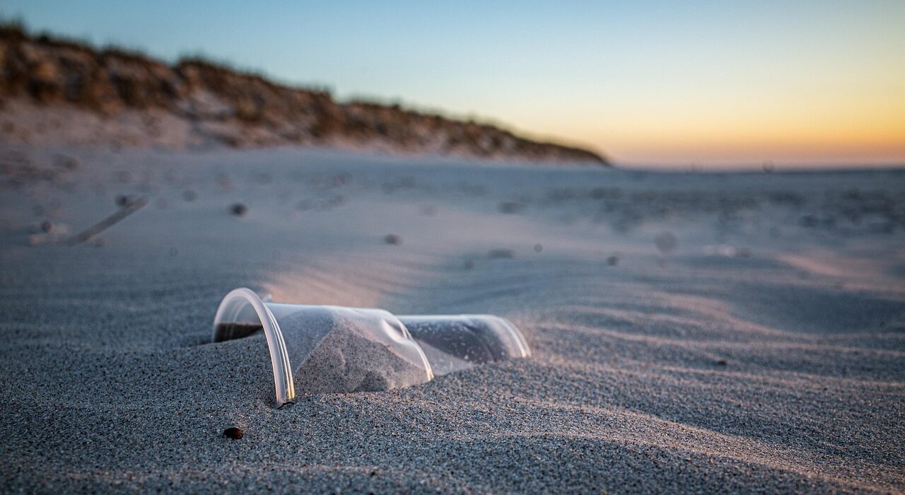 Pollution plastique